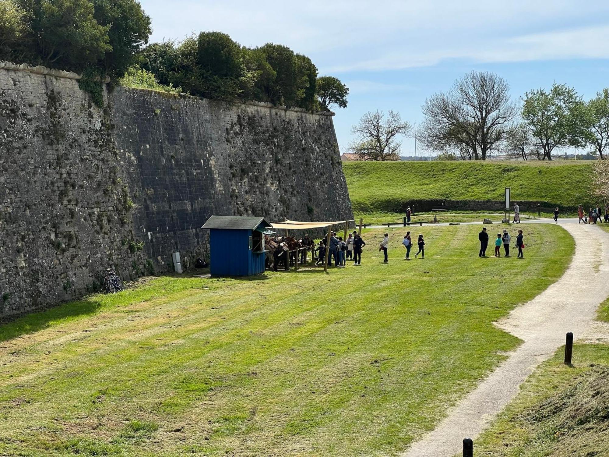 Les Amareyeurs - Ile D'Oleron - Maison Classee 3 Etoiles Avec Piscine - Clim - Velos Le Château-dʼOléron Exteriér fotografie